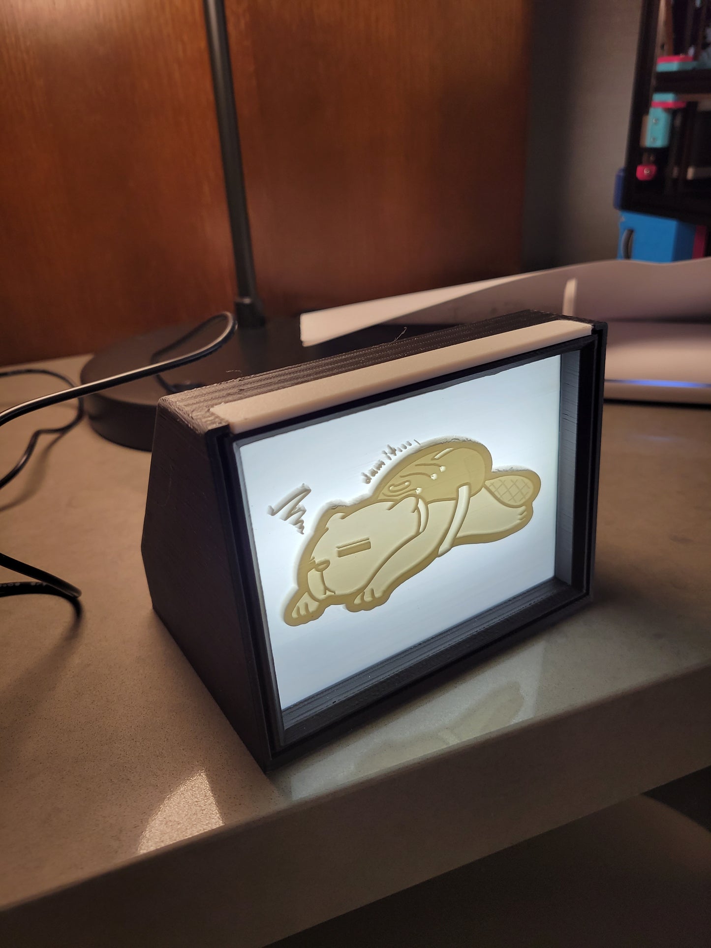 Picture Light Box - Lithophane